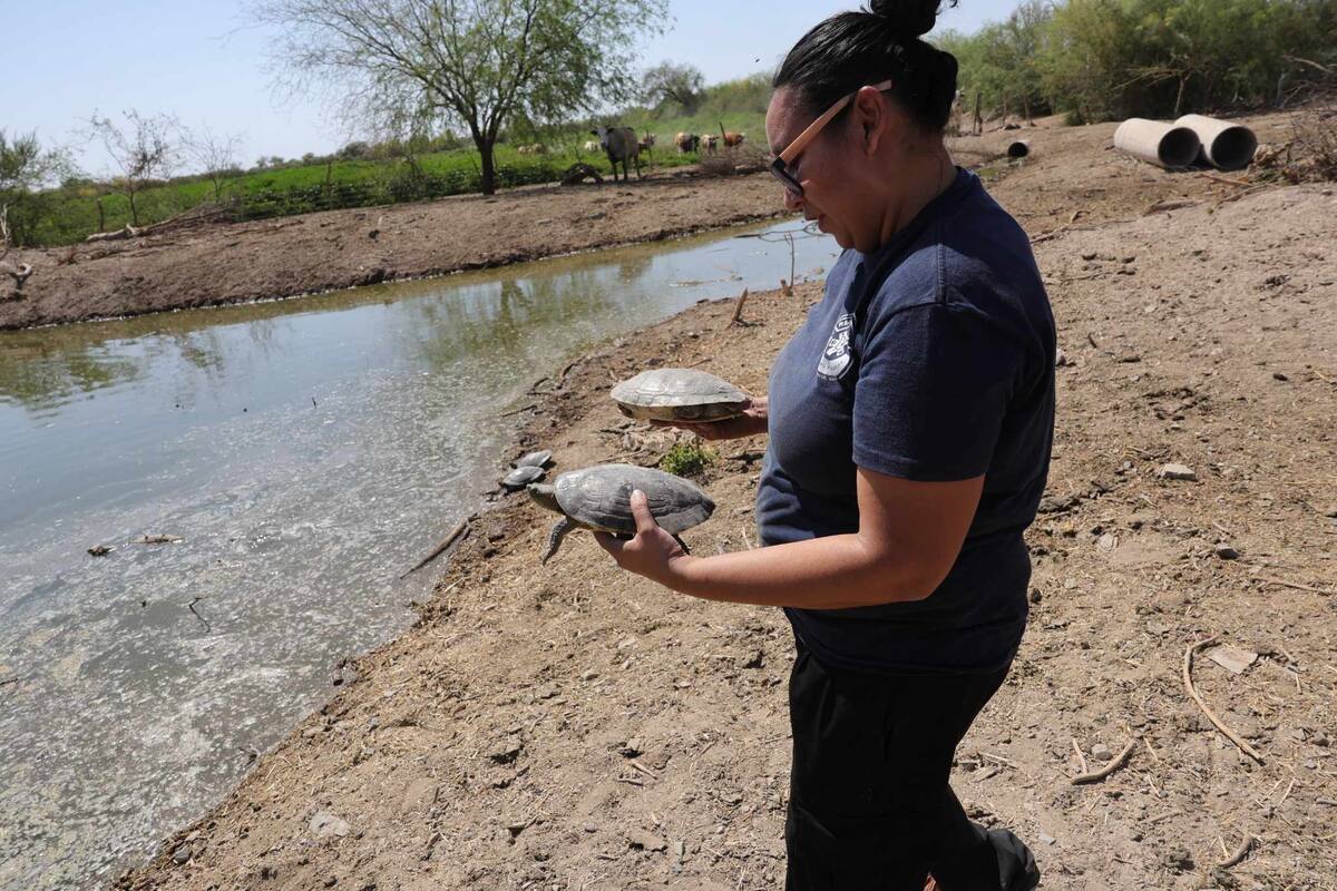 Crédito: Julián Ortega