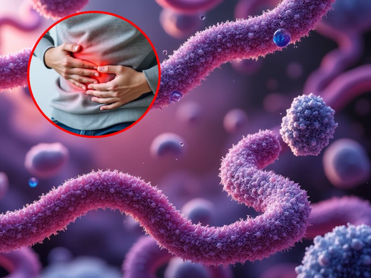 Un brote de Klebsiella oxytoca en el Estado de México ha causado alarma al registrarse infecciones en hospitales, afectando principalmente a neonatos.