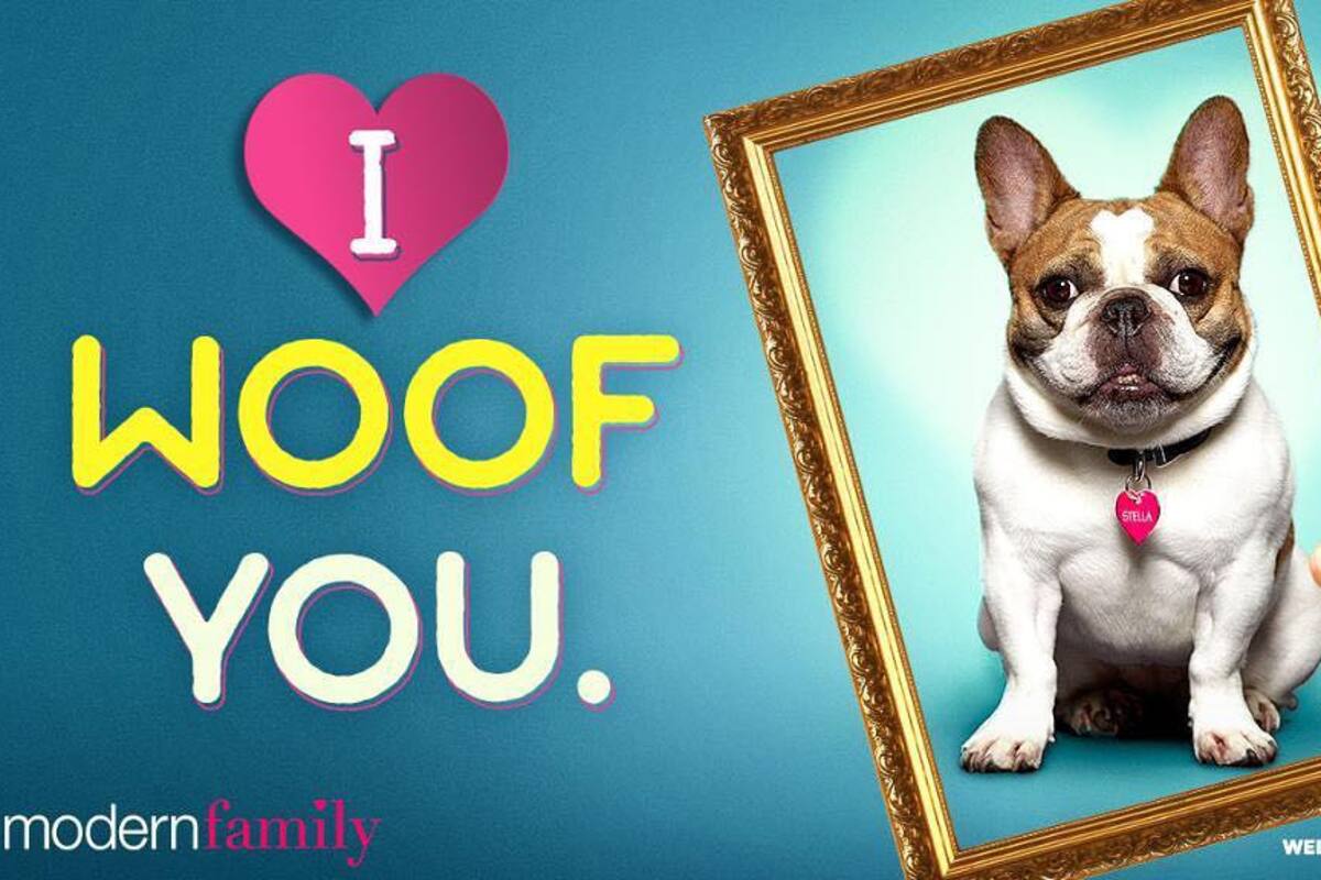 Fallece perrita de “Modern Family” tras terminar grabaciones de última temporada: Reporte