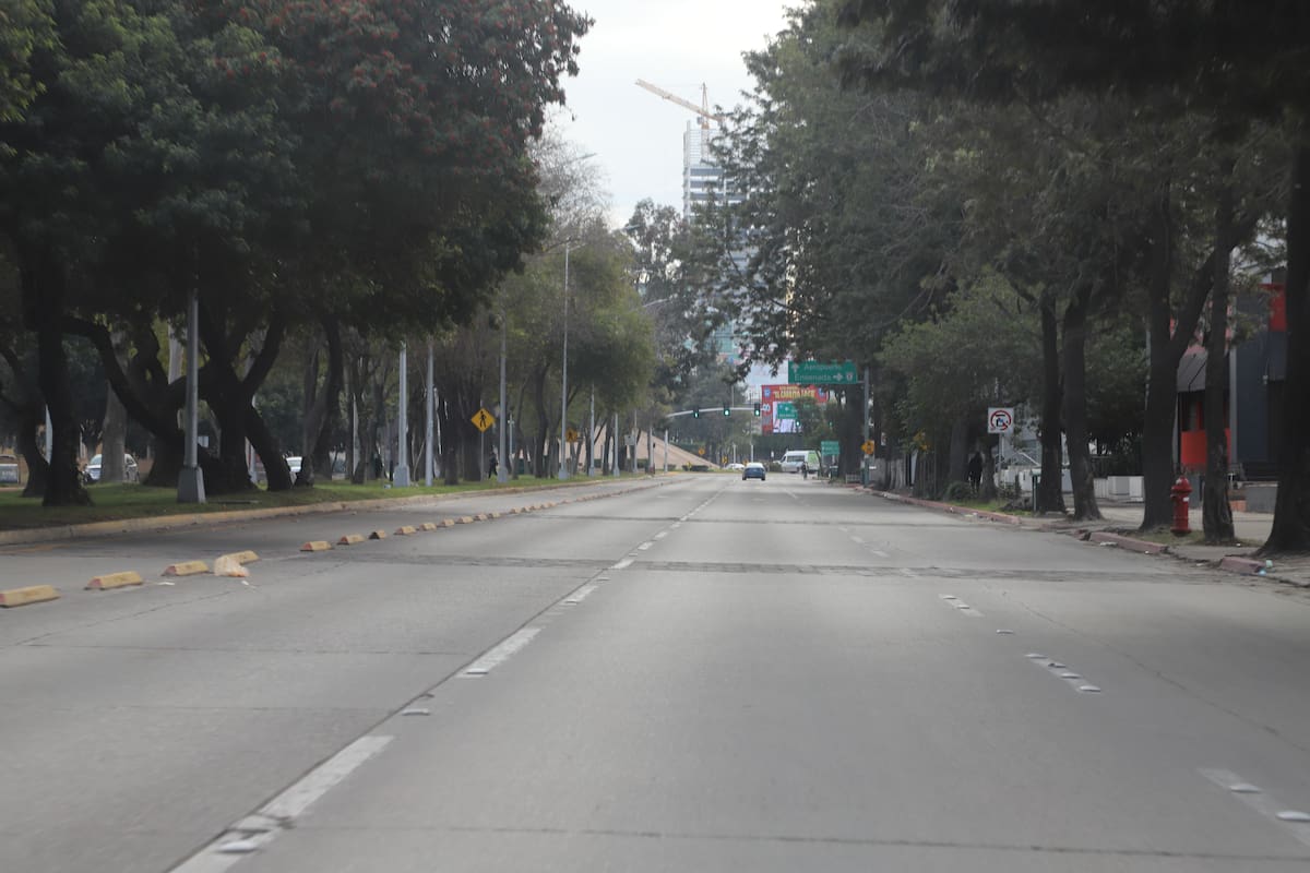 Piden mantenimiento a vialidades y podado de árboles para evitar incendios