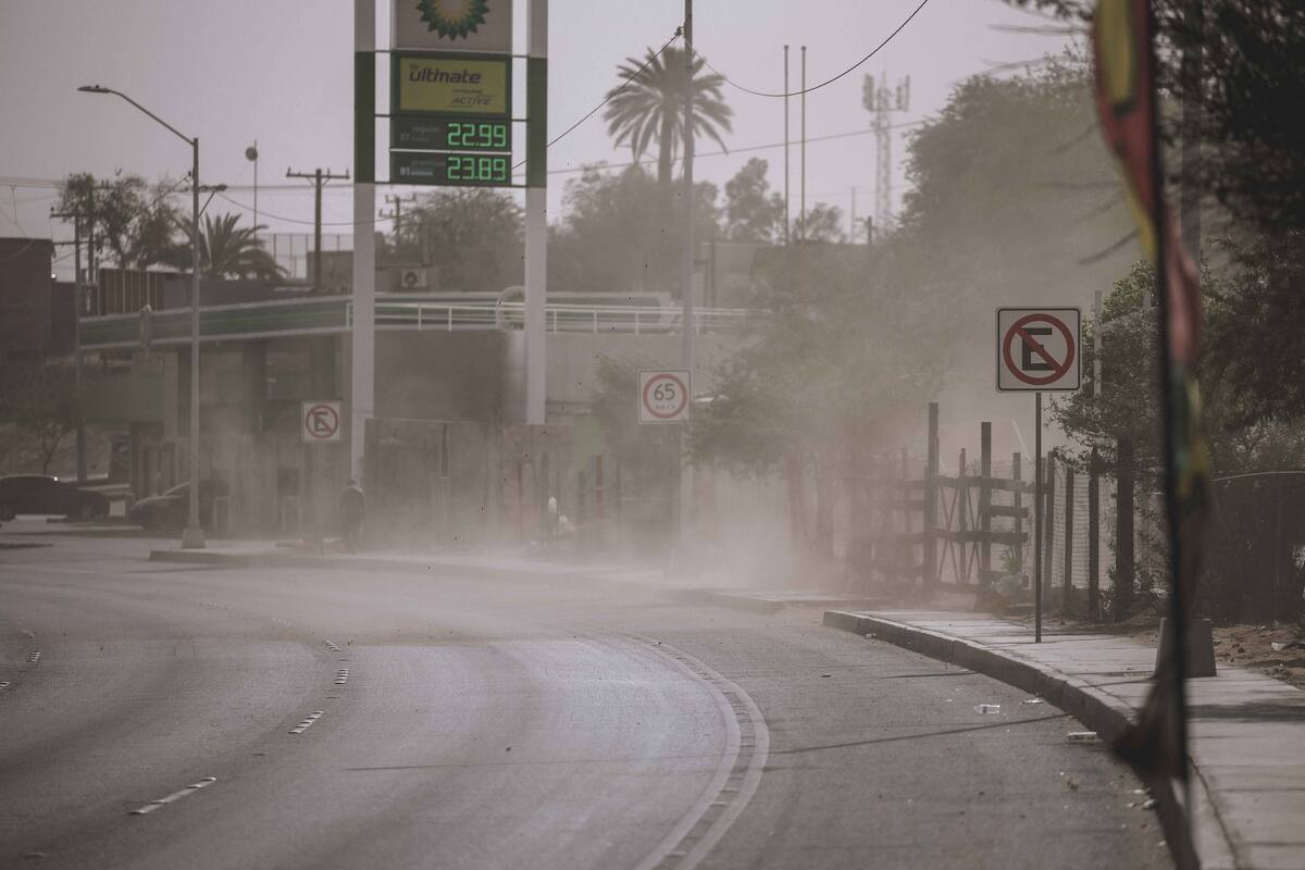 Árboles caídos y fallas en el suministro eléctrico por fuertes vientos en la ciudad