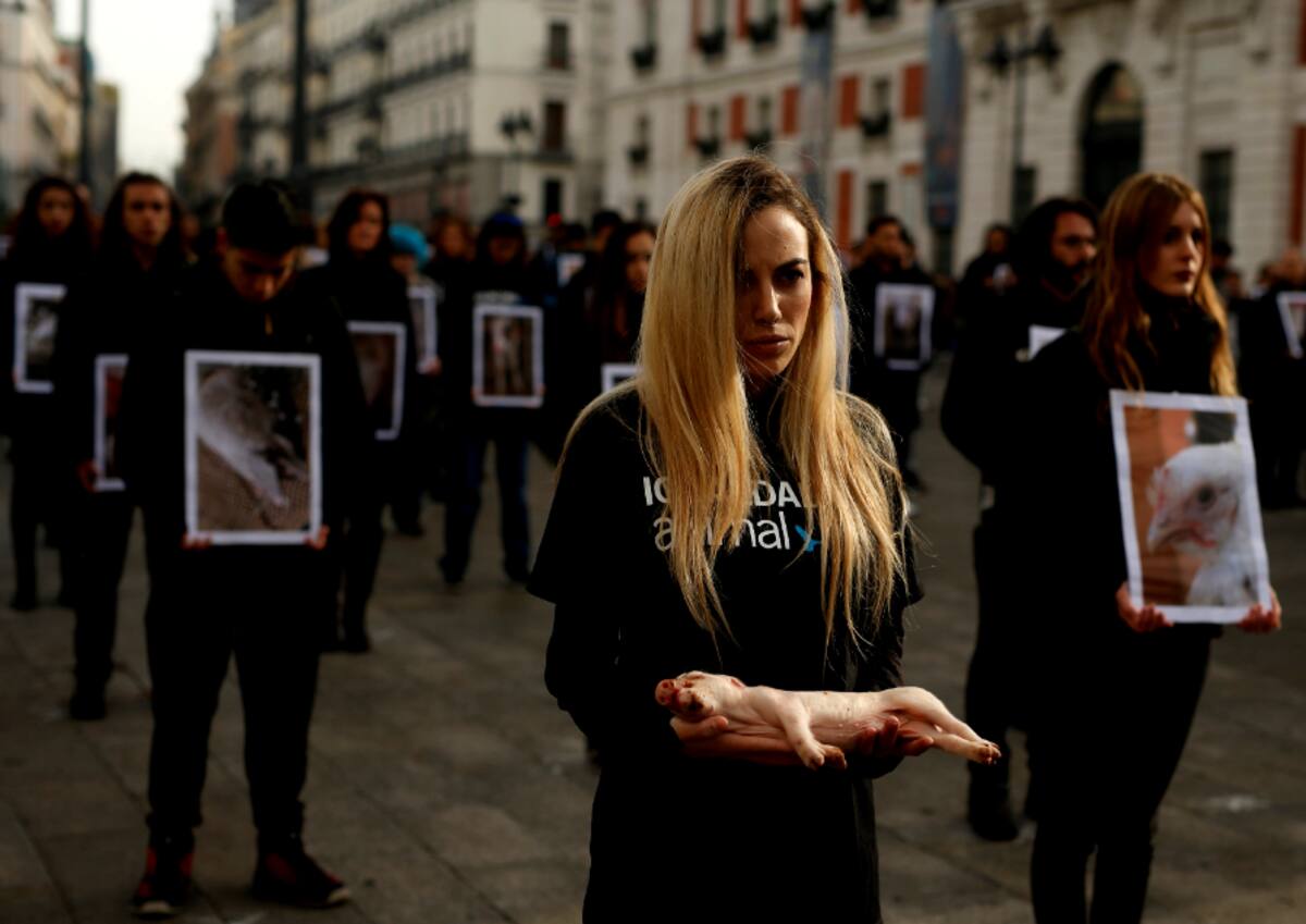 Activistas se manifiestan en contra de la crueldad animal de las granjas industriales en Madrid, España. / Público - Javier Barbancho