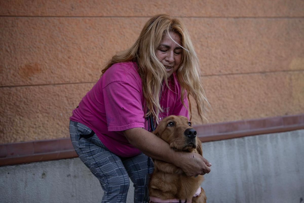 Que los casos de crueldad animal sean sancionados con mayor severidad y no queden impunes. Foto: Border Zoom