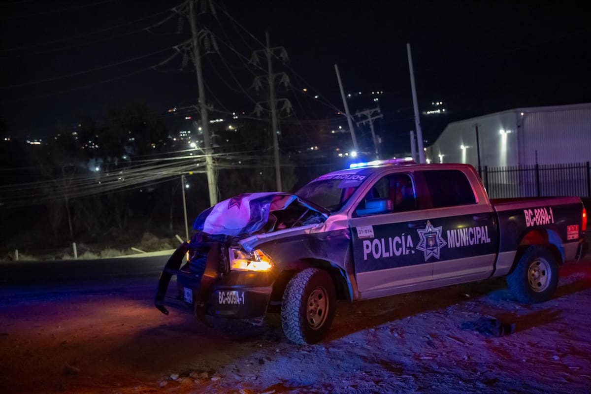 Choca patrulla contra burro en bulevar 2000