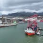 Puerto de Guaymas amplía su capacidad logística con nuevas grúas y una expansión que busca atraer más carga contenerizada a Sonora