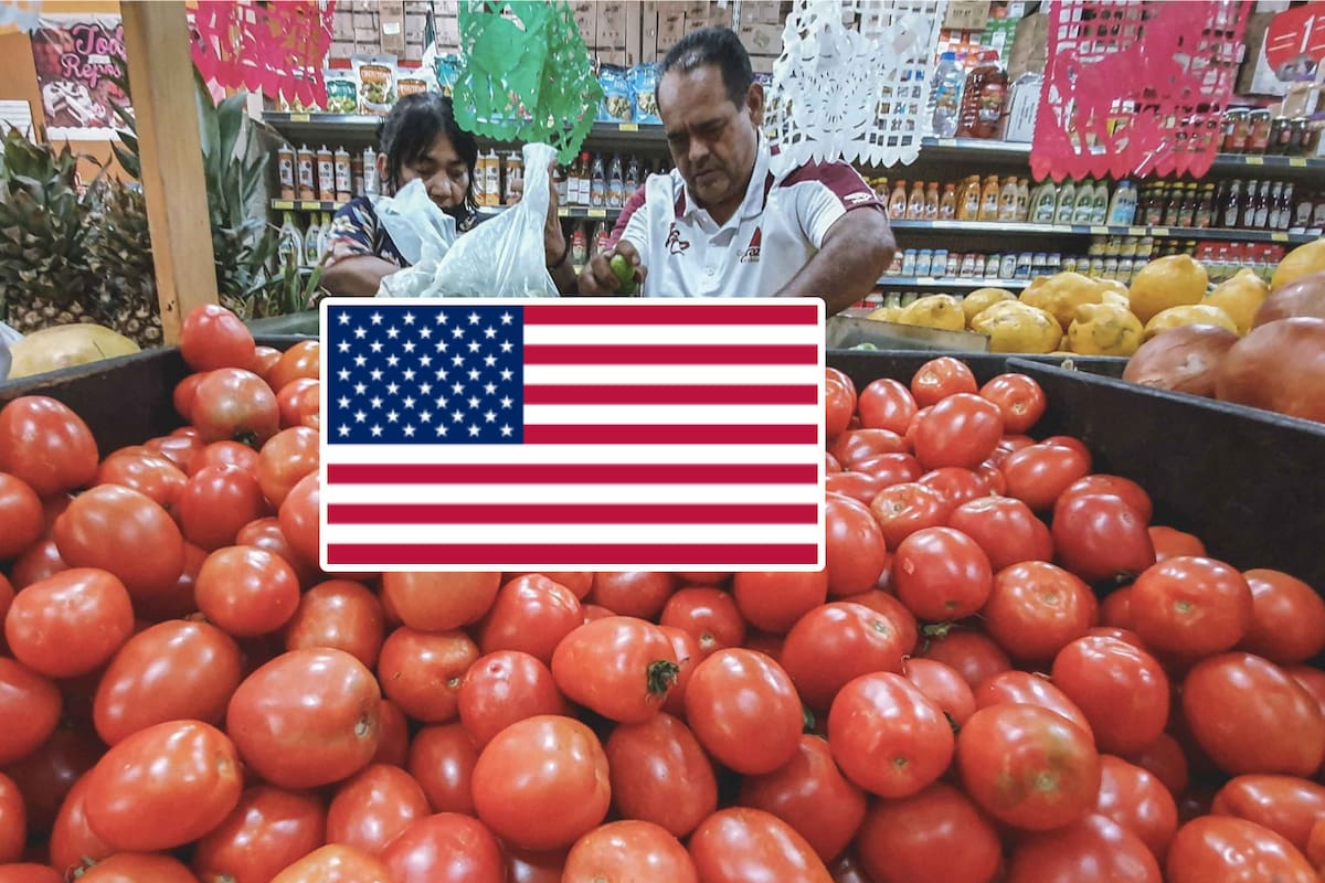México acusa que arancel del tomate es por decisión política de EEUU
