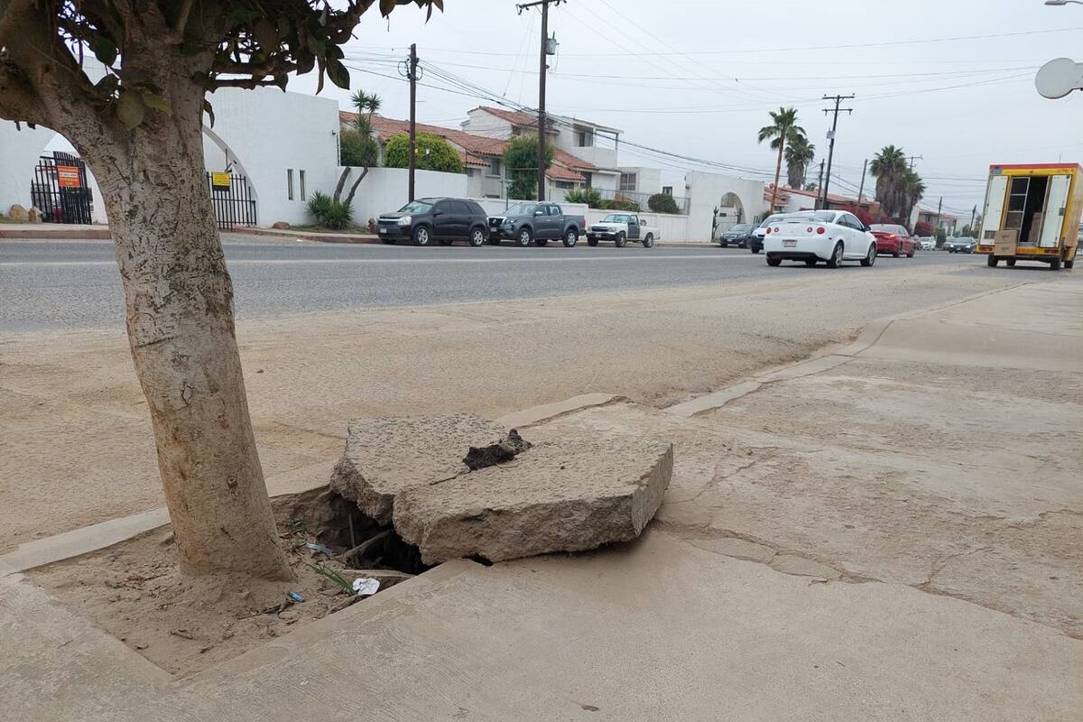 Pueden verse piedras por todas partes.