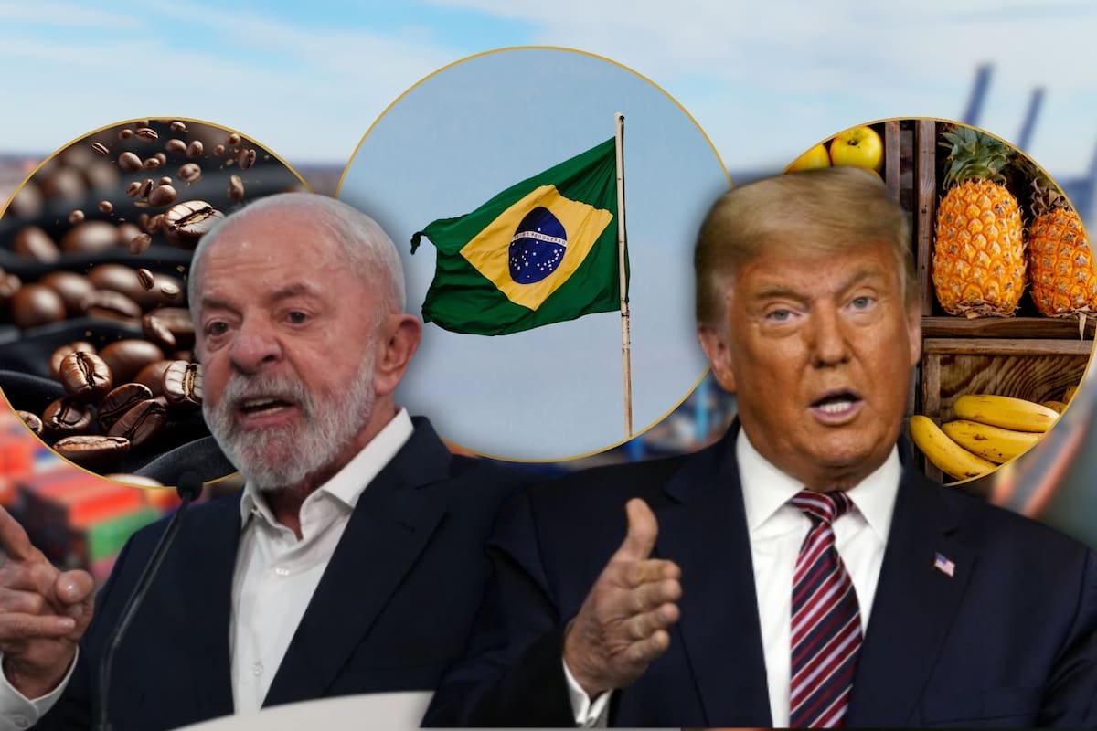 Estados Unidos excluye café y fruta de Brasil de aranceles en medida comercial