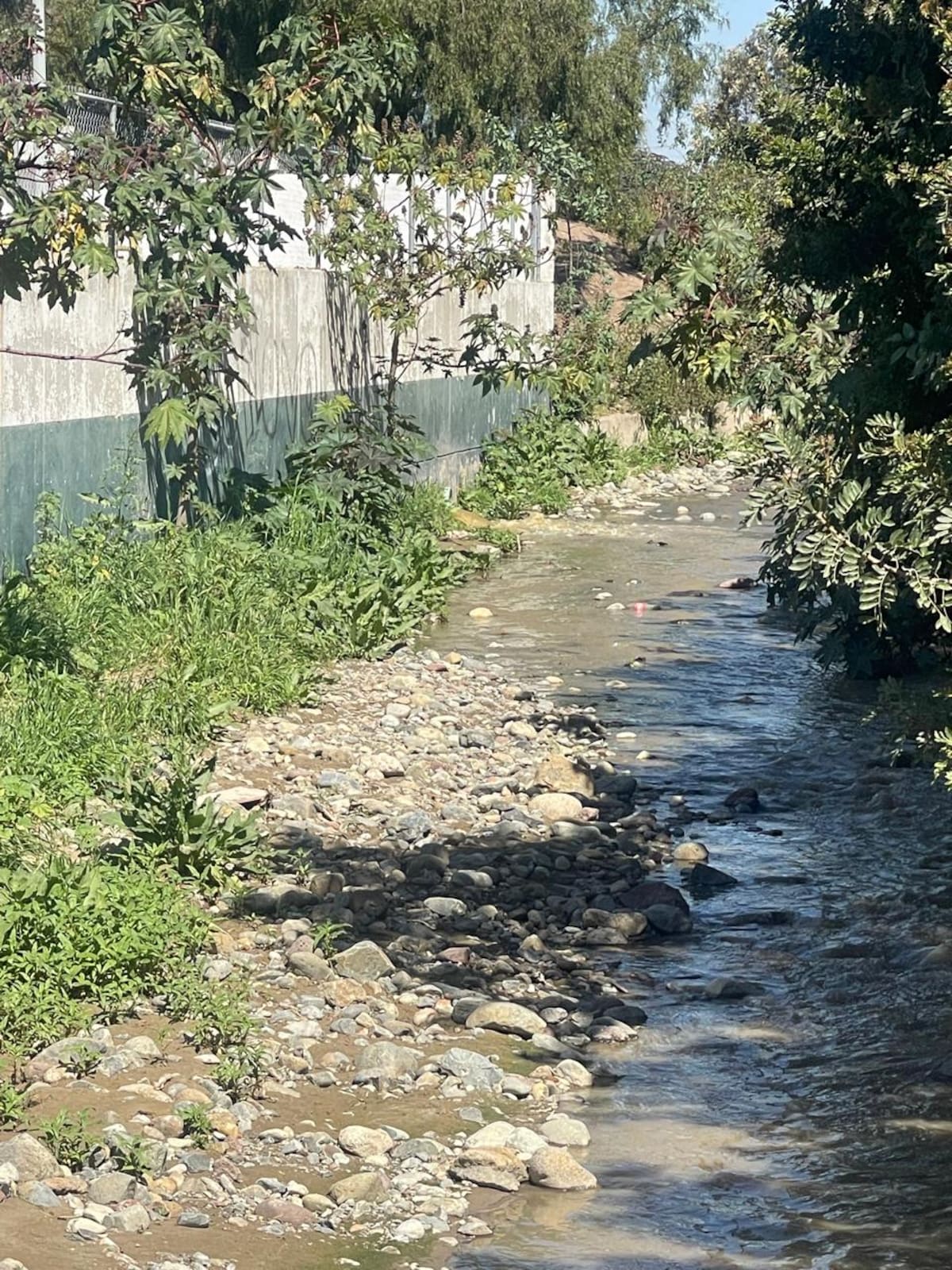Cientos de aves marinas fueron observadas posadas y alimentándose sobre el caudal de aguas negras que corre por el arroyo Huahuatay, luego de que fallas en un cárcamo de la Cespt provocaran el derrame de aguas residuales. Foto: Carmen Gutierrez