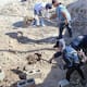 Hallan más restos humanos en predio de Infonavit Cachanillas