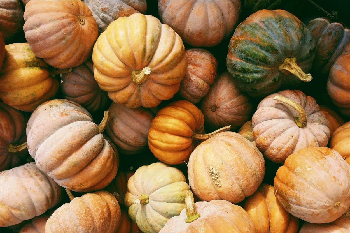 Recicla elementos naturales para decorar tu casa en otoño