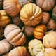 Recicla elementos naturales para decorar tu casa en otoño
