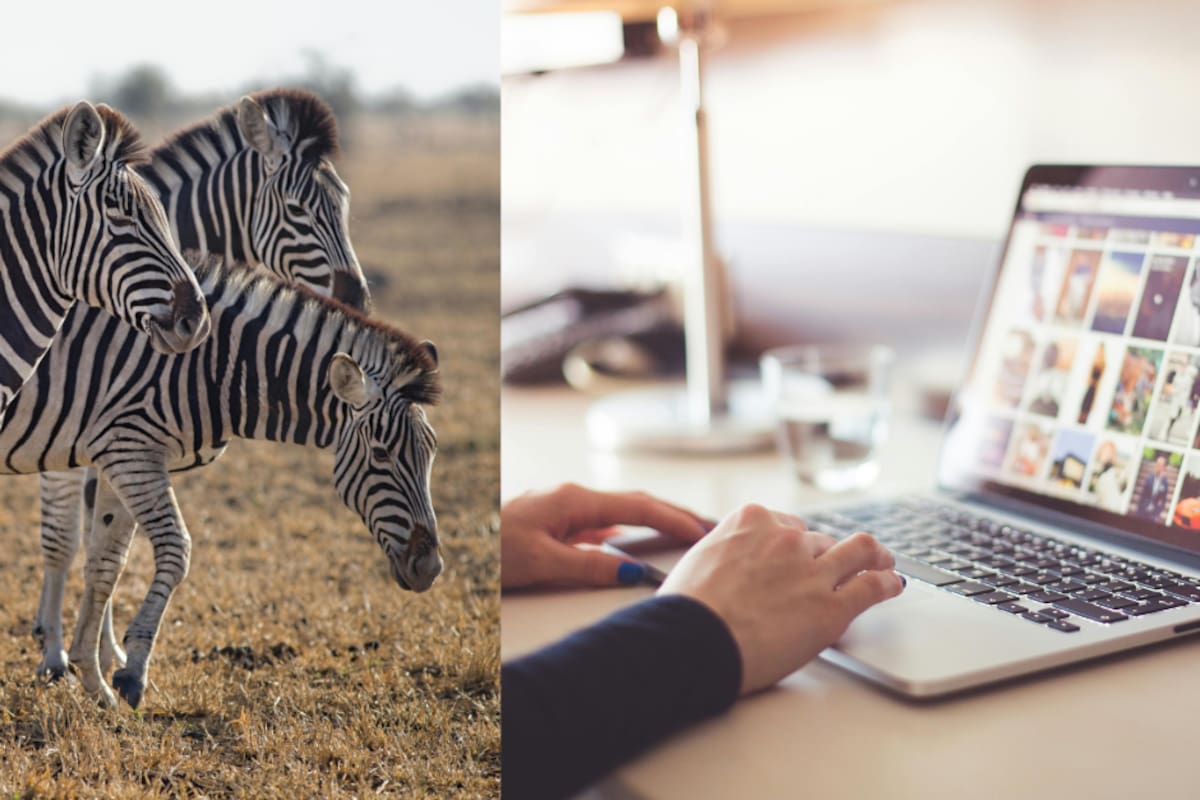 Efemérides del 31 de enero: ¿Qué pasó un día como hoy?