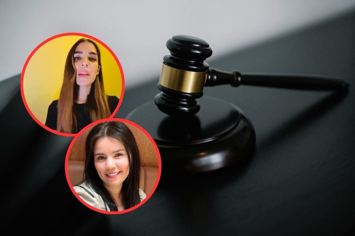 Reaparece diputada Diana Karina Barreras tras críticas por sancionar a usuaria de X, Karla Estrella, por violencia política de género en su contra