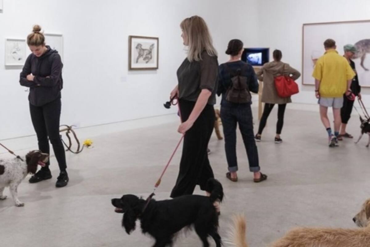 Londres abre una exposición de arte apta para perros