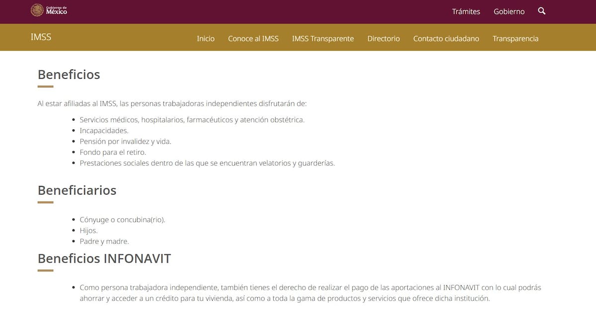 Beneficios de afiliarte al IMSS como trabajador independiente.