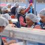 Empleo manufacturero cae 4.2% en Sonora durante 2026, pero exportaciones mantienen impulso industrial