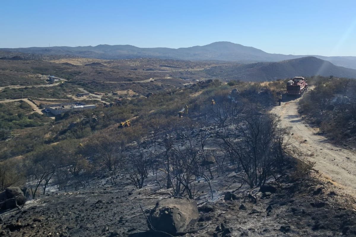 Incendio forestal afecta más de 10 hectáreas de pastizal y chaparral en Tecate