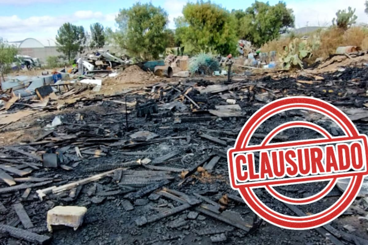 Profepa clausura área de empresa de autobuses en Hidalgo por manejo indebido de residuos peligrosos tras incendio