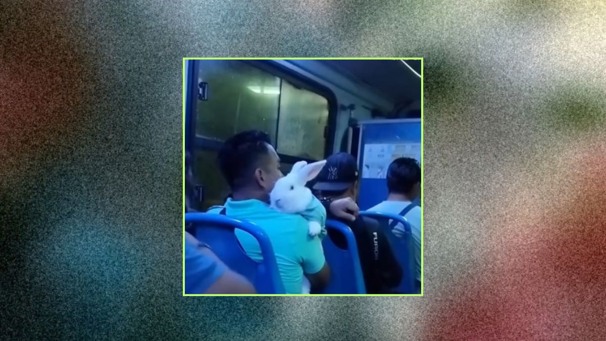 Hombre se vuelve viral por viajar con su conejo en el camión: incluso se vistieron igual