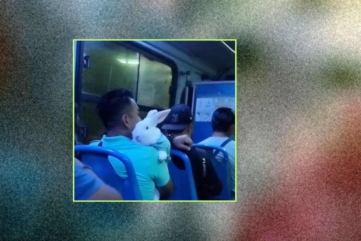 Hombre se vuelve viral por viajar con su conejo en el camión: incluso se vistieron igual