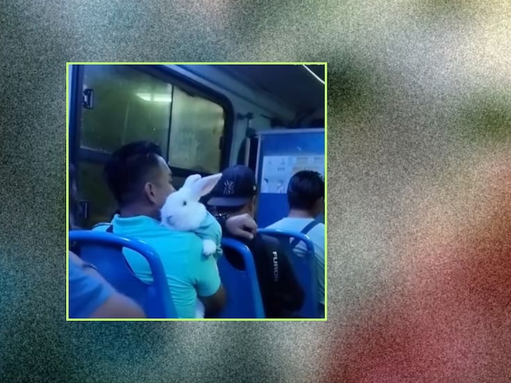 Hombre se vuelve viral por viajar con su conejo en el camión: incluso se vistieron igual
