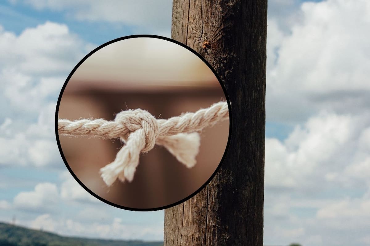 Golpeado, desnudado y amarrado a un poste: así atacaron a un guardia de seguridad tras ser confundido con ladrón en su primer día de trabajo en el centro de Monterrey