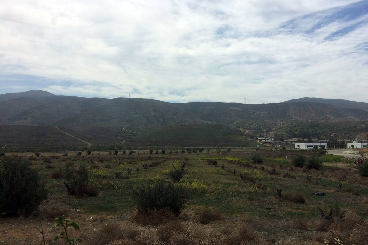 Clima Tijuana: Continuarán los cielos medio nublados y el clima templado