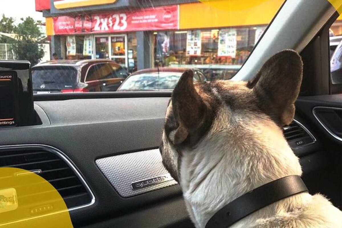 Así funciona el Oxxo que no es atendido por personas en México y que busca parecerse a Amazon Go