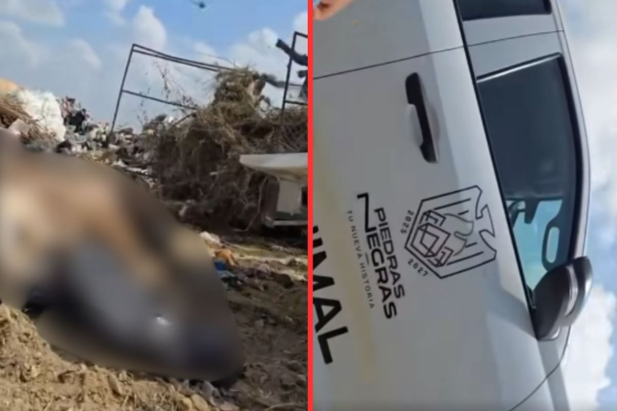 Video de camioneta oficial arrojando perros sin vida en relleno sanitario de Piedras Negras genera indignación