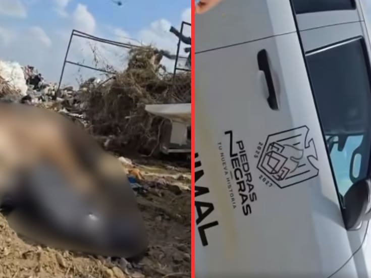 Video de camioneta oficial arrojando perros sin vida en relleno sanitario de Piedras Negras genera indignación