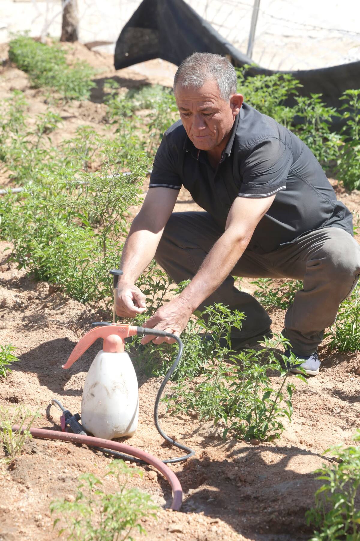 Foto: Teodoro Borbón.