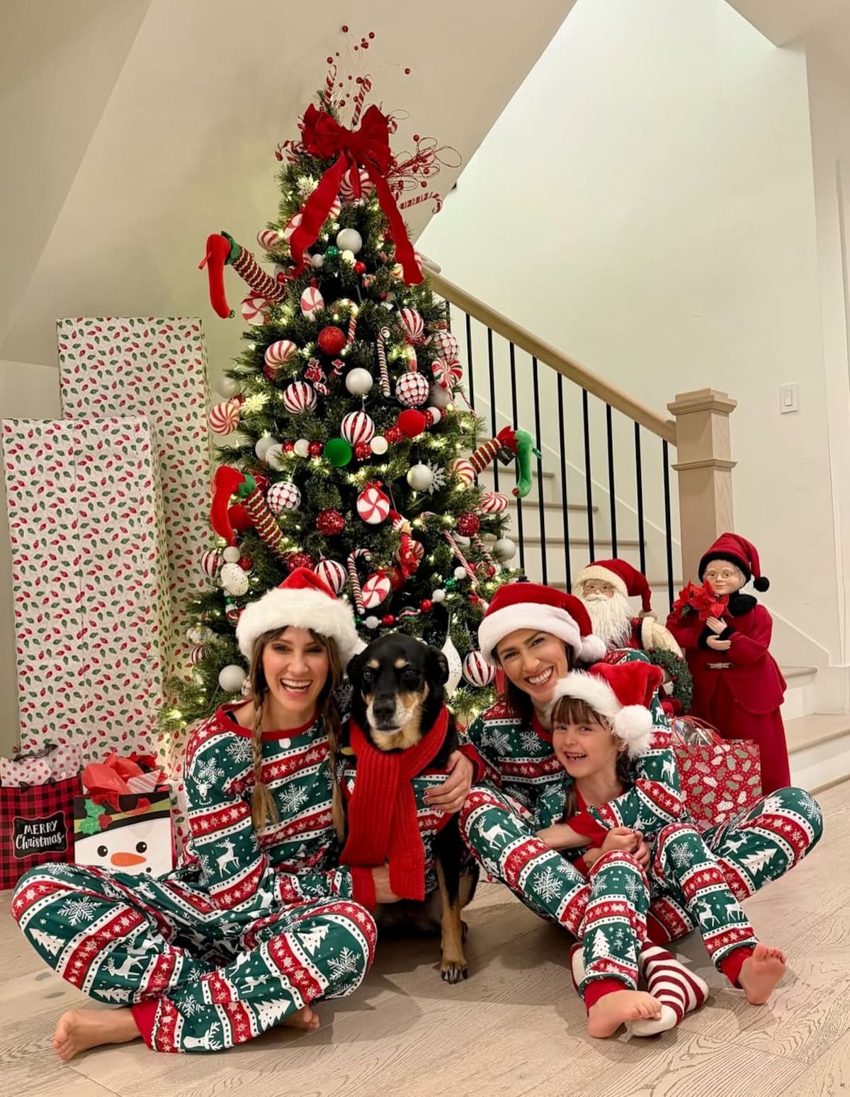 Las hermanas HaAsh iluminan la Navidad con Mathilda y su mascota.