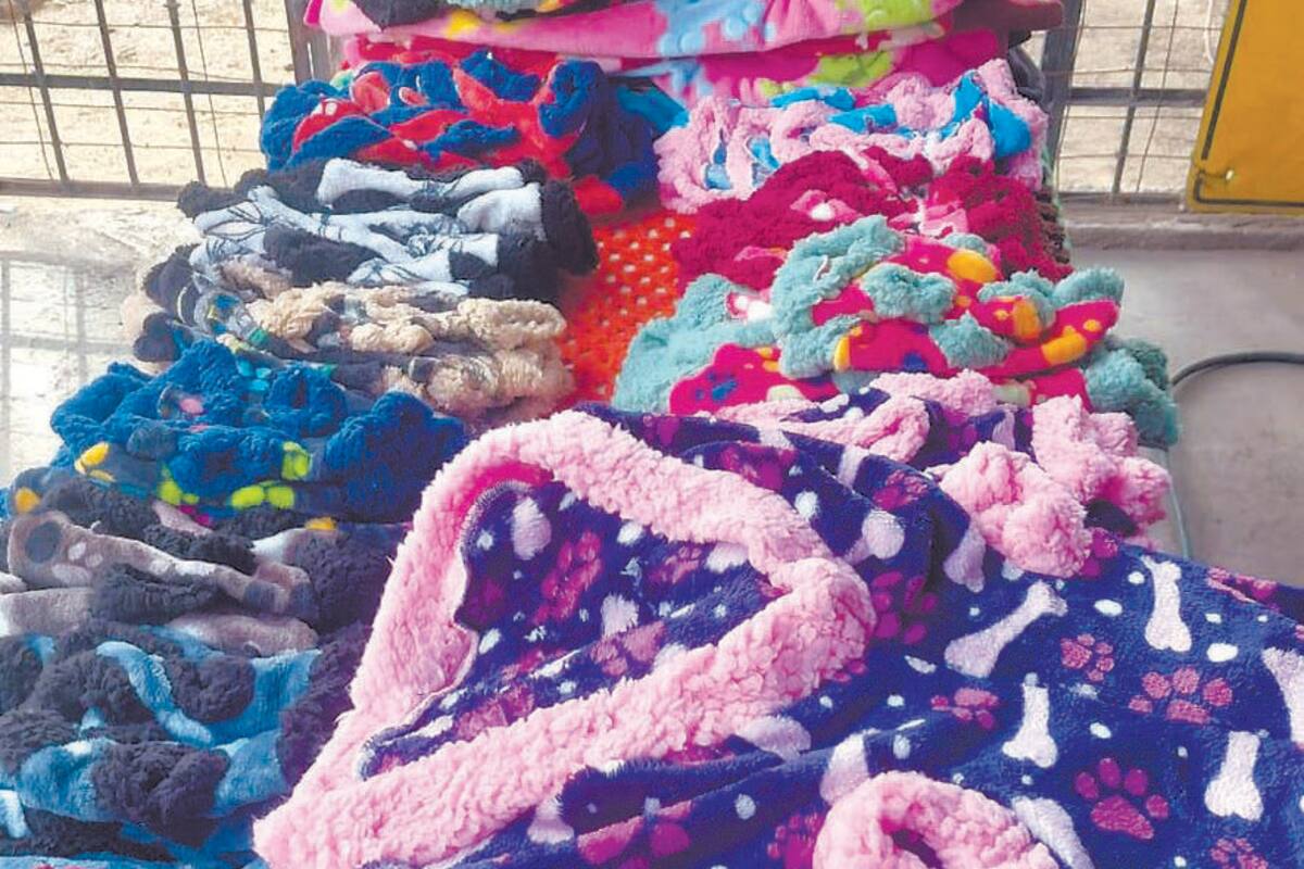 Rescatista vende camas y ropa para mascotas en Hermosillo