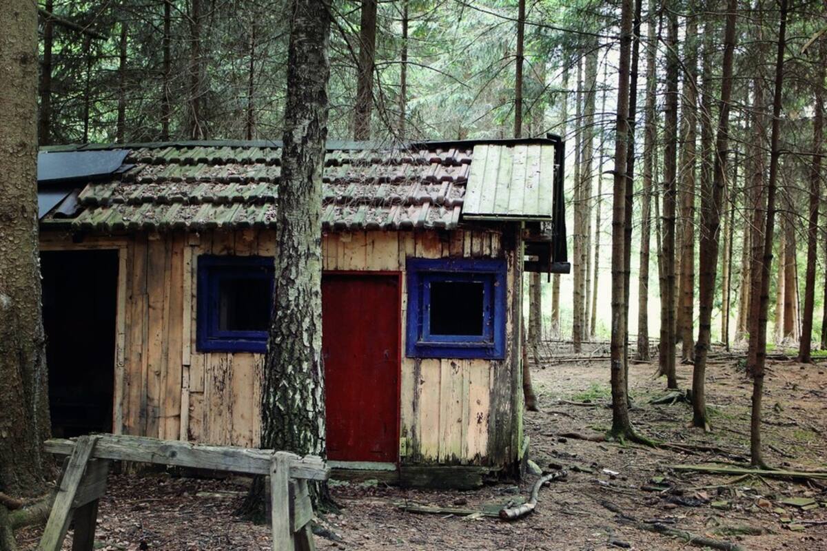 Pareja británica vive en el bosque tras quedarse sin casa por la pandemia