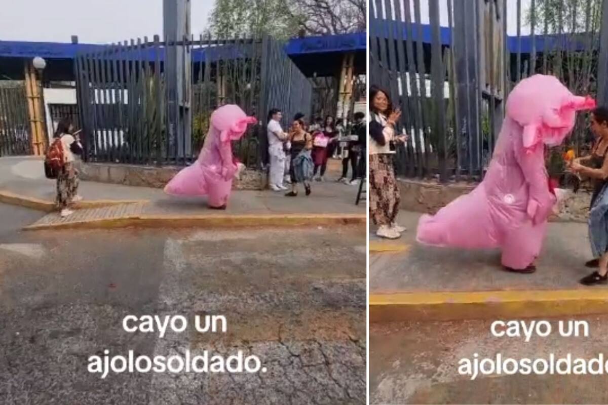 VIDEO: Joven se viste de Ajolote en San Valentín para declararse y es rechazado