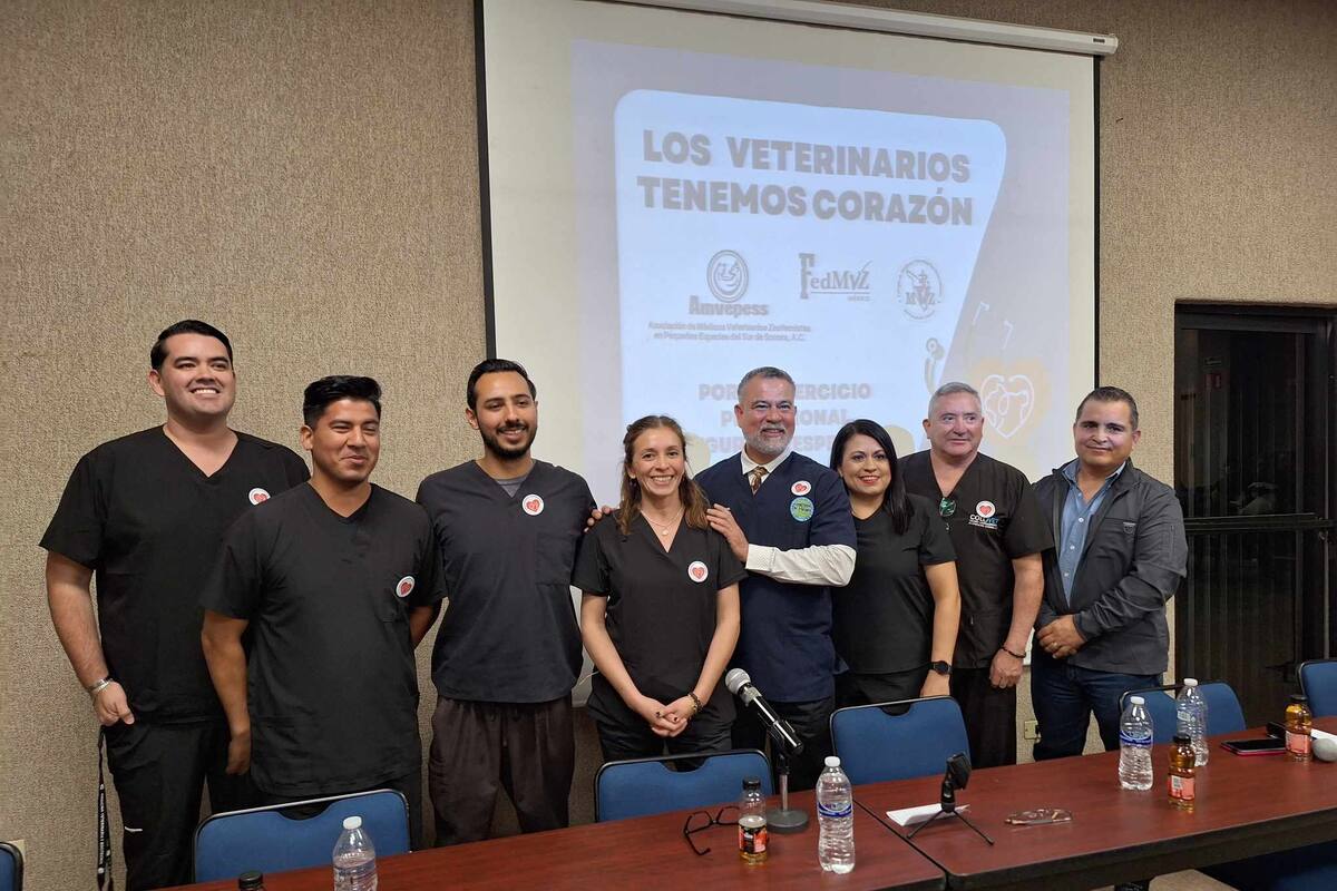 Exigen médicos veterinarios del sur de Sonora protección para su profesión y alto a los ataques