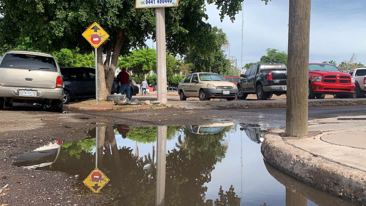 El servicio eléctrico registró fallas en múltiples zonas / Foto: Mayra Echeverría