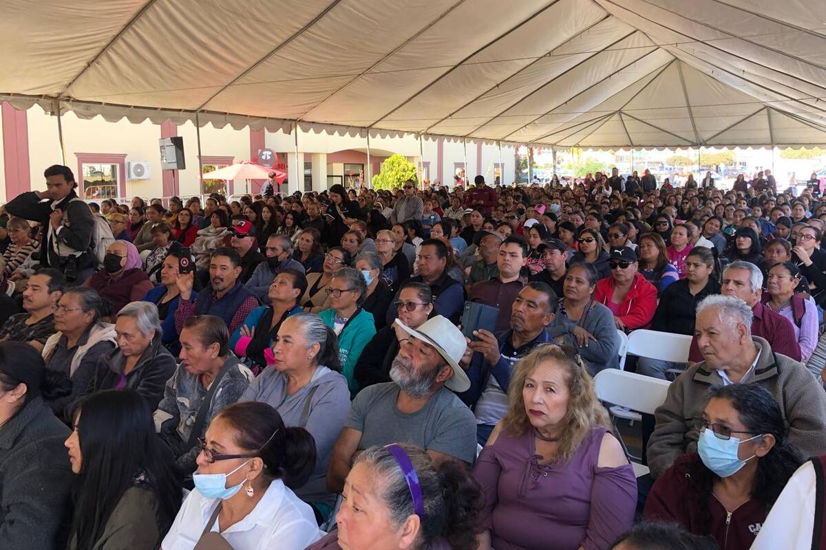 Entregan mil tarjetas violeta en Rosarito