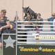 The Canine Stars Stunt Dog Show en Chandler: espectáculo con perros rescatados, acrobacias y adopción este 21 de febrero