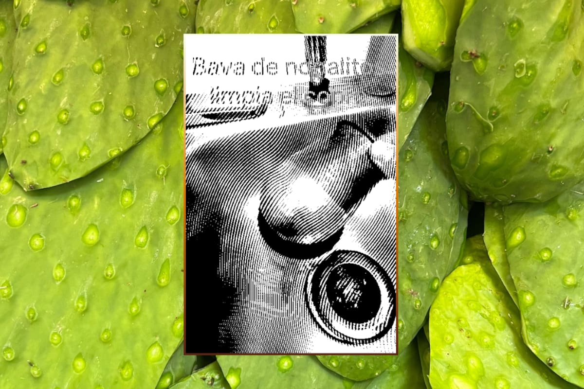 ¿La baba del nopal limpia el cobre? Mujer lo descubre por accidente y sorprende en redes