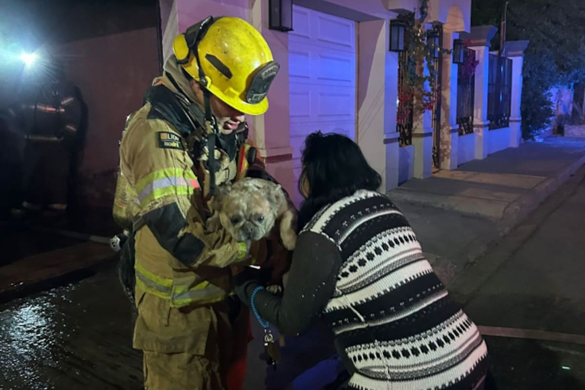 Rescatan a perrito con vida tras incendio en la colonia Independencia