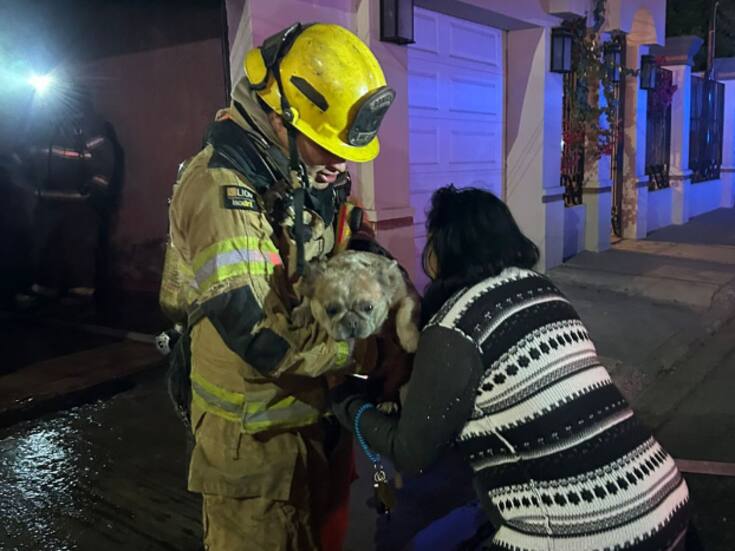Rescatan a perrito con vida tras incendio en la colonia Independencia
