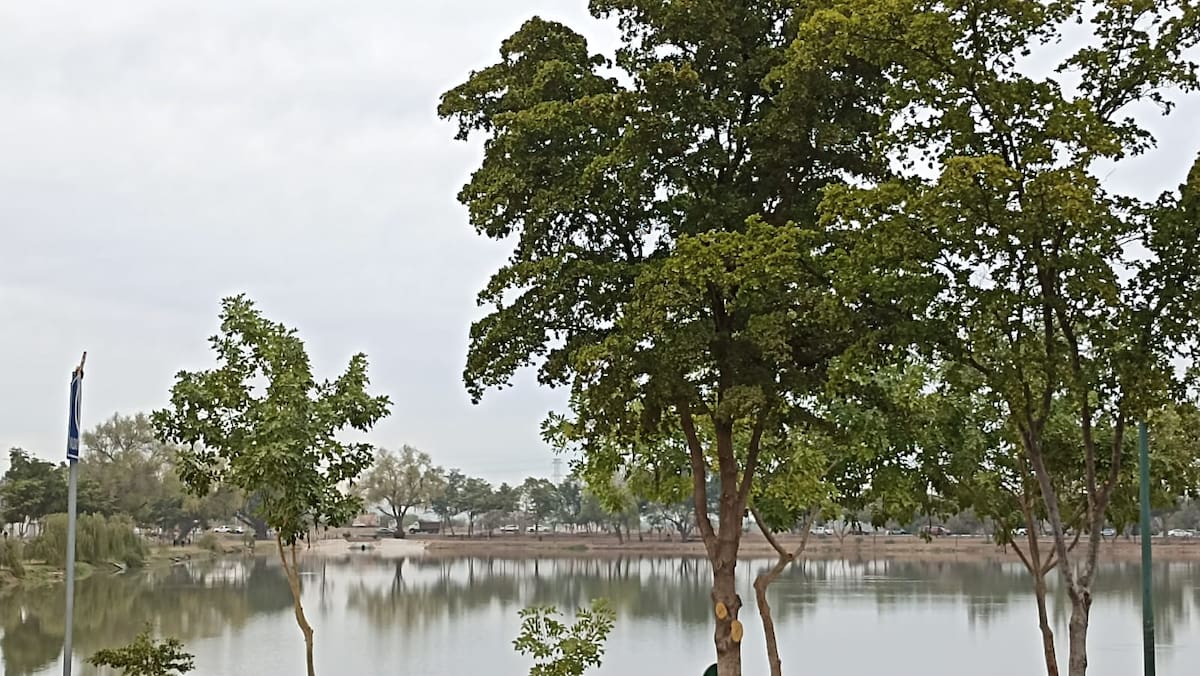 Laguna del Náinari en Ciudad Obregón Sonora. / Imagen por Jesús Ramón Valenzuela Portillo.