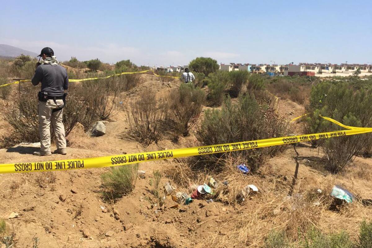 Encuentran 5 cuerpos en Valle San Pedro colectivos de búsqueda