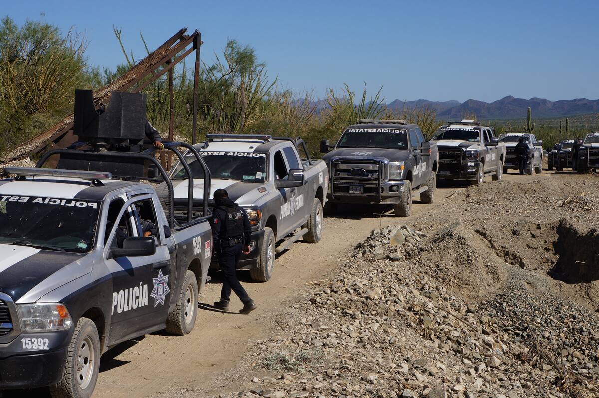 La operación se llevó a cabo tras meses de investigación y vigilancia