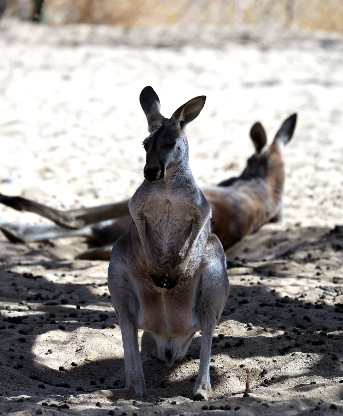 El costo de entrada general es de $75 para adultos y $50 para niños. Foto: Julián Ortega