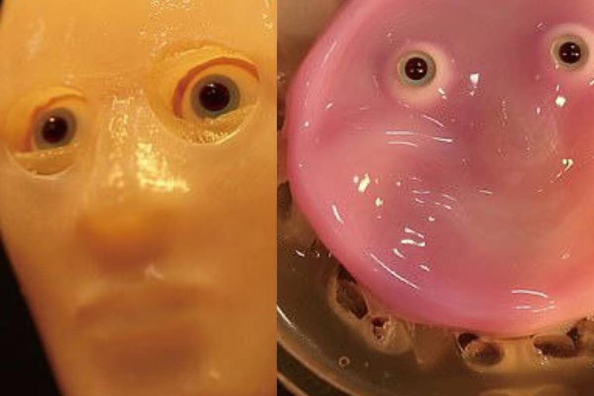 Científicos japoneses revelan la primera cara robótica con piel humana