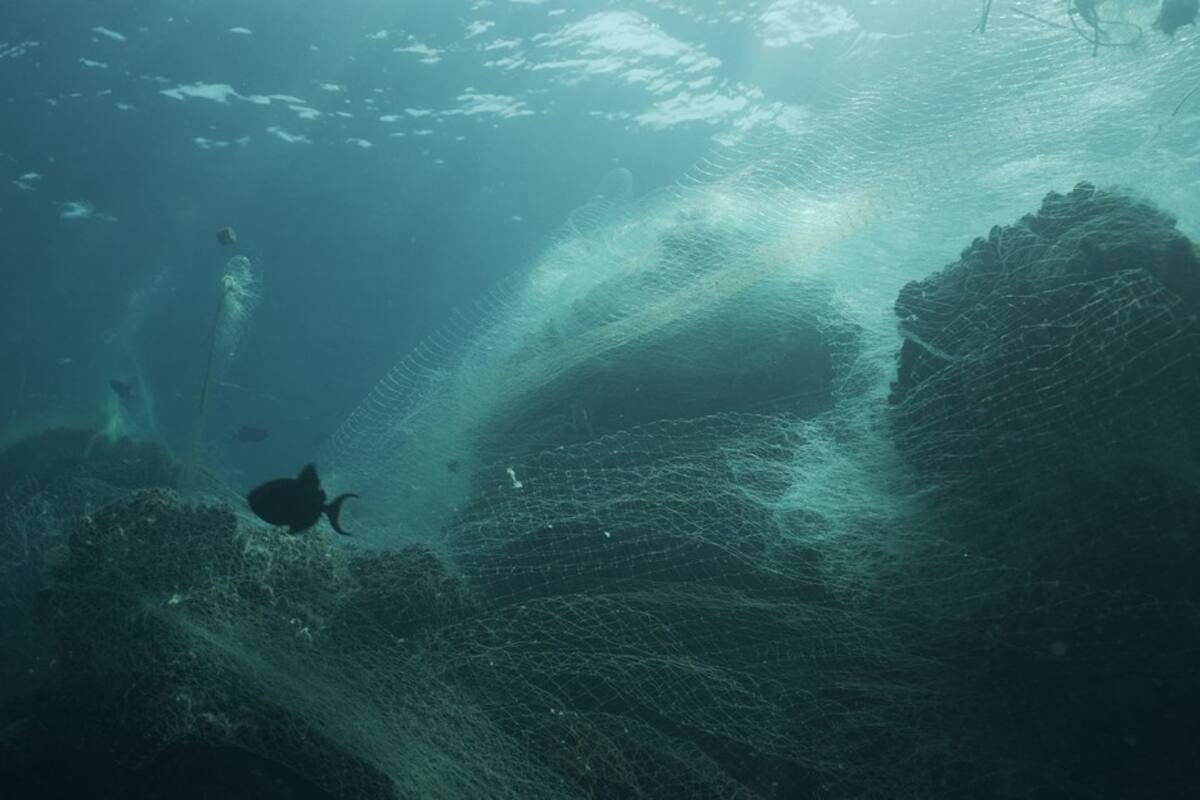 Samsung usará plásticos reciclados de redes de pesca en sus nuevos teléfonos