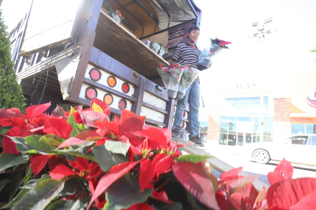 Los vendedores empezaron a descargar ayer las flores.